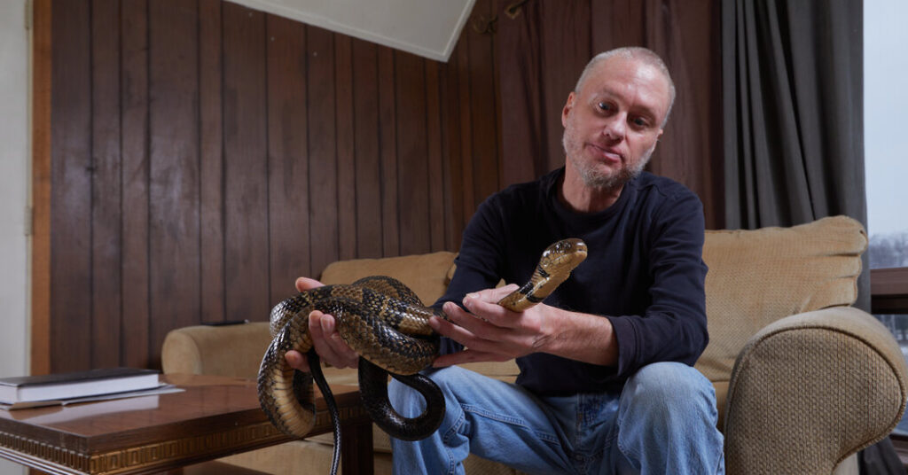 Universal antivenom could emerge from a volunteer who endures 200