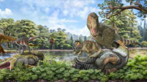 Unveiling the king: new insights into the enigmatic origins of