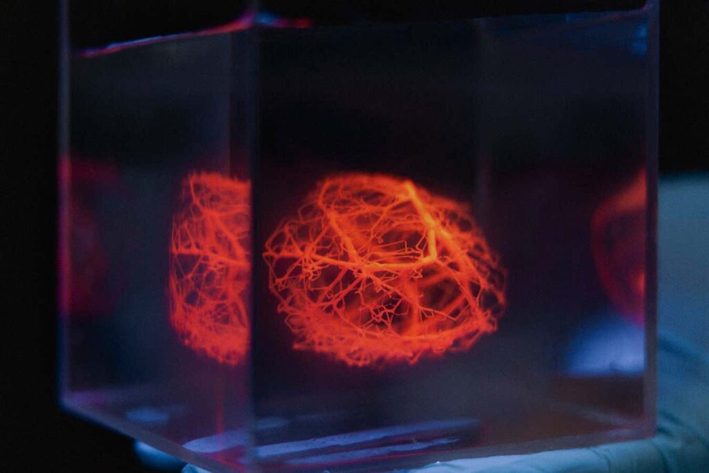 3D Printing Enables Complex Vascular Networks for Prosthetic Applications