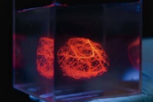 3D Printing Enables Complex Vascular Networks for Prosthetic Applications