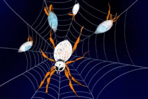 After Mating Noisy Spiders Have a Taste for Their Peers—Youll