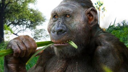 Ancient enamel proteins uncover biological and genetic diversity in paranthropus