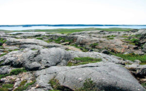 Canadas Nuvvuagittuq Greenstone Belt Contains Fragments of Earths Oldest Crust