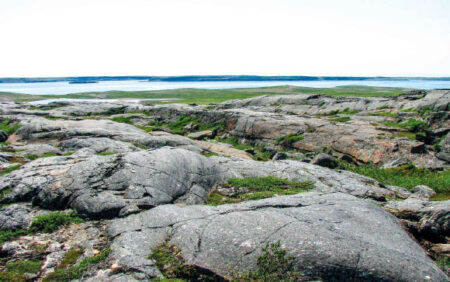 Canadas Nuvvuagittuq Greenstone Belt Contains Fragments of Earths Oldest Crust