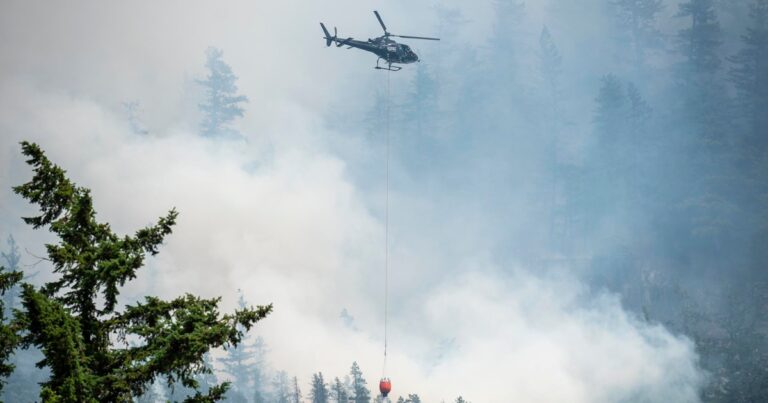 Canadian Wildfire Smoke Impacts Air Quality in the Midwest and Northeast Canadian Wildfire Smoke Impacts Air Quality in the Midwest and