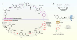 Common Gut Bacteria Can Transform Everyday Plastic Waste into Paracetamol