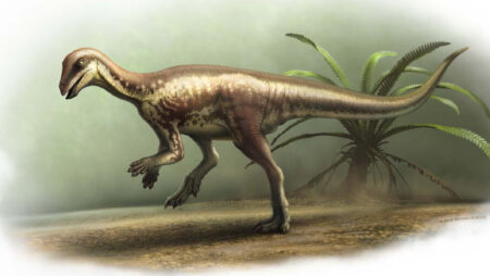 Dog Sized Neon Cyan Dinosaur Unearthed in Colorado