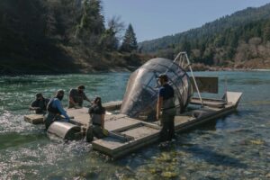 Fish Rescue Secures New Scientist Editor Award at EarthPhoto 2025