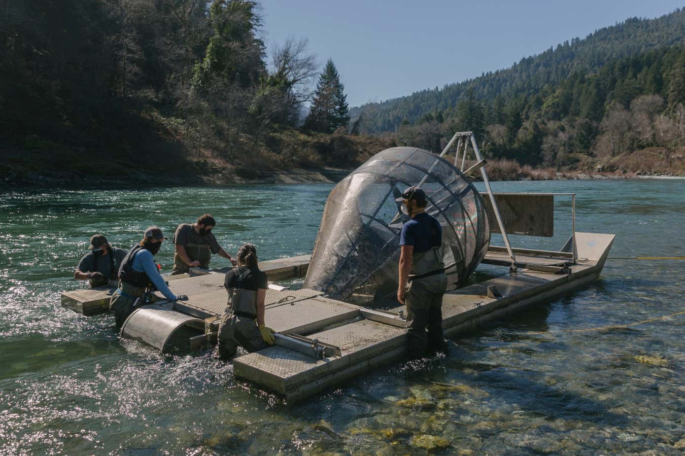 Fish Rescue Secures New Scientist Editor Award at EarthPhoto 2025