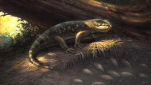 Home to Large Horned Lizards and Armored Cretaceous Dinosaurs in North