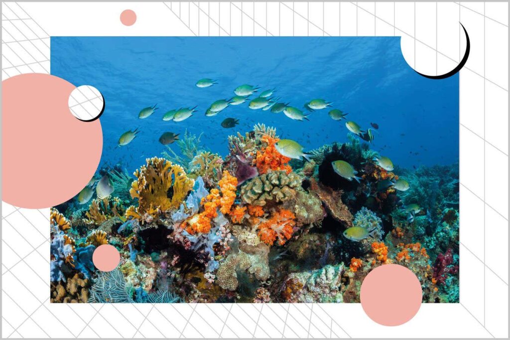 How Symbiosis Shaped Our Planet and Why It Holds the