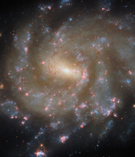 Hubble space telescope captures stunning image of star forming spiral galaxy