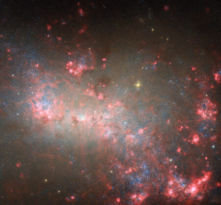 Hubble Space Telescope Reveals New Images of NGC 4449 Hubble Space Telescope Reveals New Images of NGC 4449