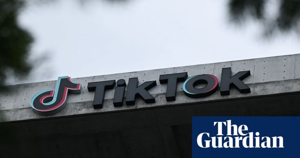 Imposter Alert Thief Swipes Classic TikToks for Mass Produced Merchandise