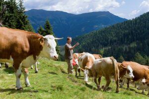 Math Tricks to Simplify Counting