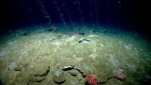 Microorganisms Emitting Methane Stabilize the Seabed