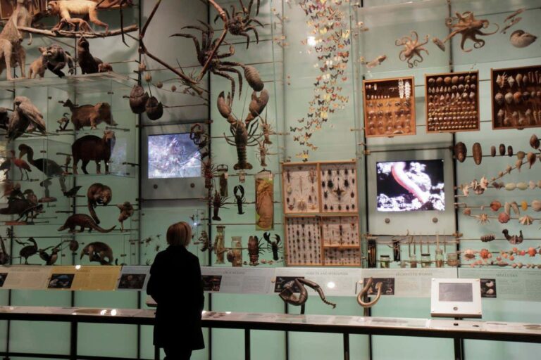 Nature Memories Review: A New Book Reveals the Critical Shortcomings of Our Natural History Museum Nature Memories Review A New Book Reveals the Critical Shortcomings