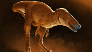 New Tyrannosaur Species Unveiled in Mongolia
