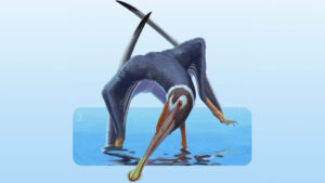 Newly Discovered Pterosaur Unearthed in Germany