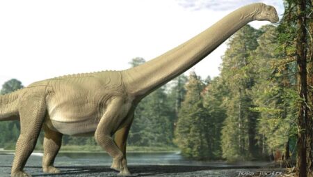 Paleontologists Discover Fossilized Intestinal Contents from Sauropod Dinosaurs