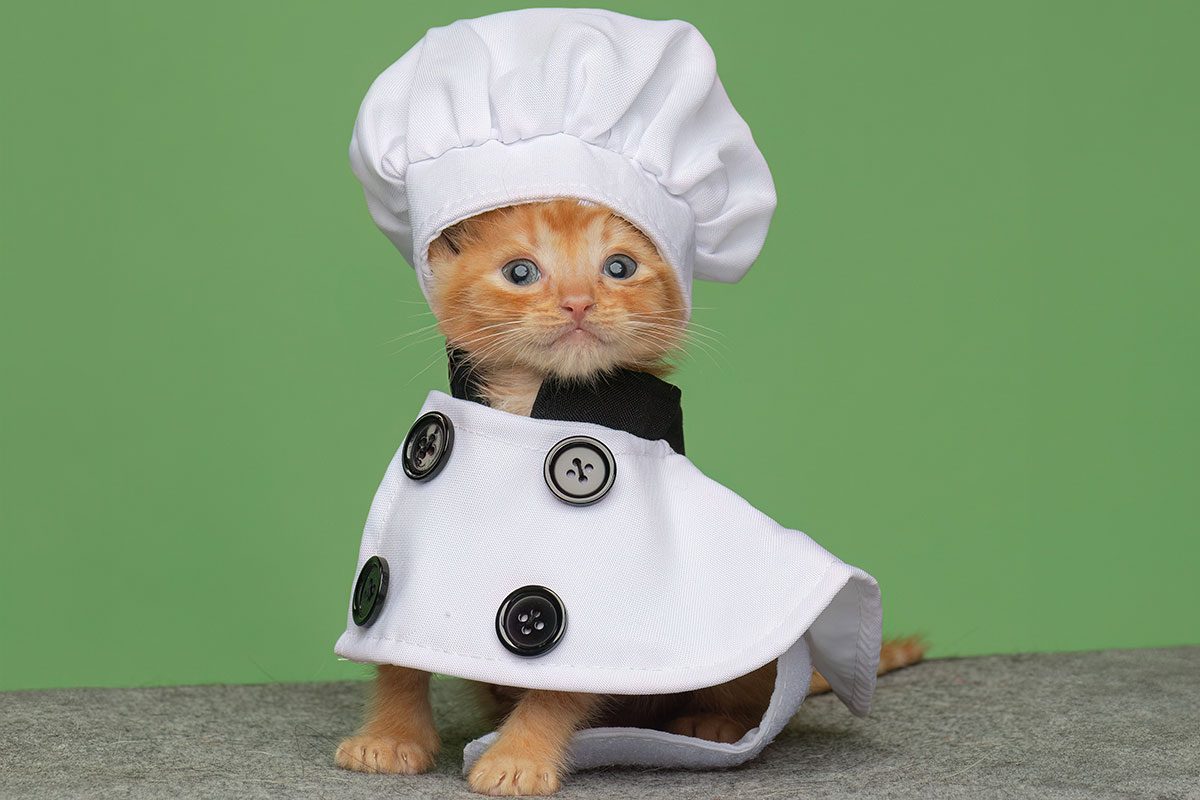 Science Encourages You to Share More Cute Pet Photos—Heres Why