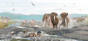 Studies Indicate Regular Fruit Consumption by Mastodons in South America