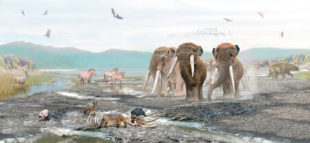 Studies Indicate Regular Fruit Consumption by Mastodons in South America Studies Indicate Regular Fruit Consumption by Mastodons in South America