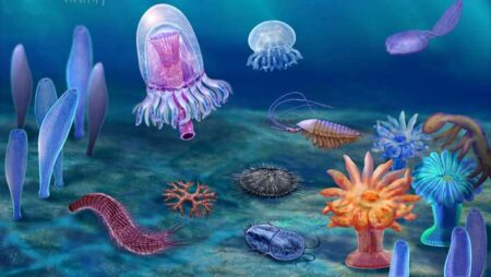 Study Reveals Cambrian Explosions Happened Millions of Years Sooner Than