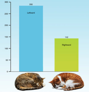 Study Reveals Two Thirds of Cats Favor Sleeping on Their Left