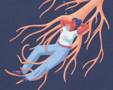 The Vagus Nerve A Comprehensive Guide