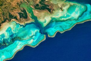 The warming ocean: uncovering unexpected benefits from coral reef loss