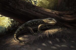 The ancient creature boasted goblin like teeth and a customizable tail