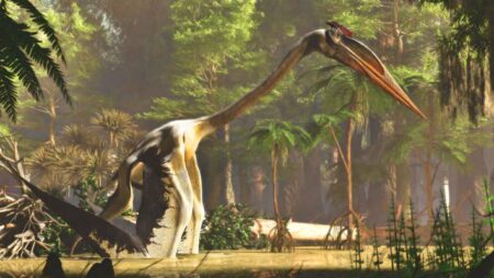 Warm and Humid Climate Creates Ideal Conditions for Pterosaurs to