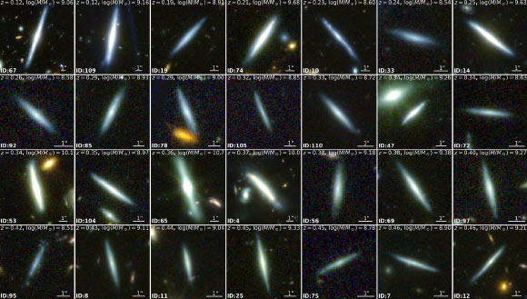 Webb Sheds New Light on the Structural Evolution of Disk Galaxies Webb Sheds New Light on the Structural Evolution of Disk