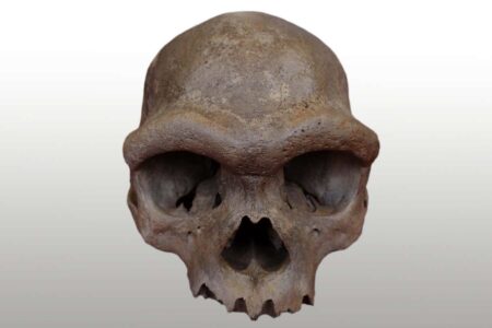 Weve Unveiled the Appearance of Denisovans