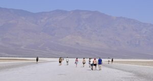 Working groups warning of fever deaths establish signs about doge