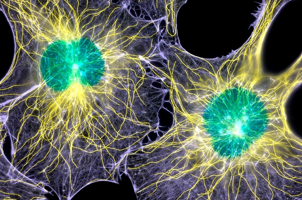 A New Perspective on Oral Healing Paving the Way to