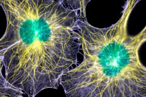 A New Perspective on Oral Healing Paving the Way to