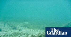 Alert Increased Threat of Submarine Cable Attacks Supported by Russia