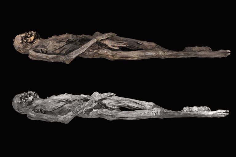 Ancient Siberian Ice Mummies Adorned with Unique Tattoos