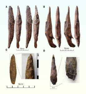 Ancient Wooden Tools Dating Back 300000 Years Found in China