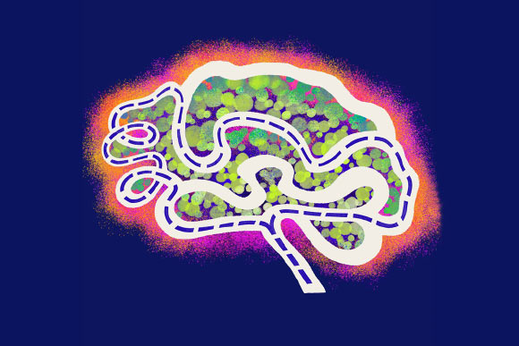 Animal Studies Indicate That Memory Evolves Across Neurons Over Time Animal Studies Indicate That Memory Evolves Across Neurons Over Time