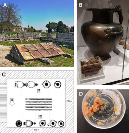 Archaeologists Discover 2500 Year Old Honey in Bronze Jars Unearthed in Italy