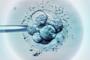 Babies Created with Three DNA Sources Are Free from Genetic