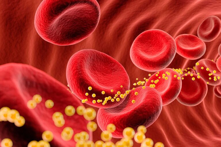 Consuming This Breakfast Essential Daily May Help Reduce Cholesterol Levels Consuming This Breakfast Essential Daily May Help Reduce Cholesterol Levels