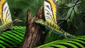 Crested Diapsid Reptiles from the Central Triassic Challenge Current Theories