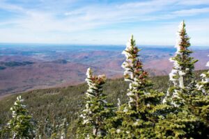 Declining Snowcover in Forests Poses a Threat to Carbon Storage