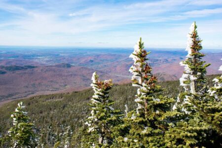 Declining Snowcover in Forests Poses a Threat to Carbon Storage Declining Snowcover in Forests Poses a Threat to Carbon Storage