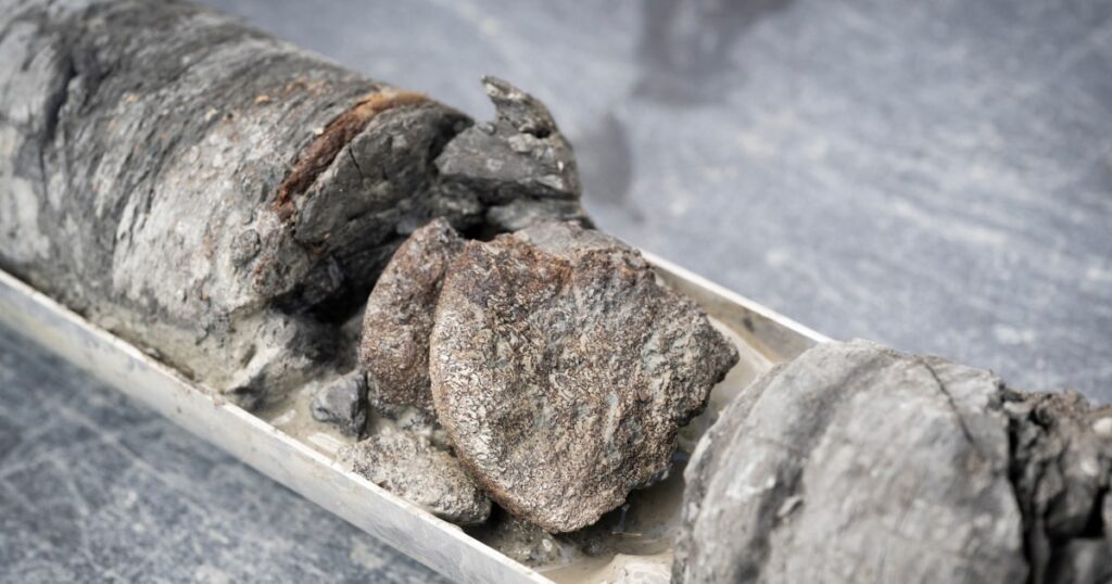 Denverdino Museum Discovered Beneath Your Parking Lot