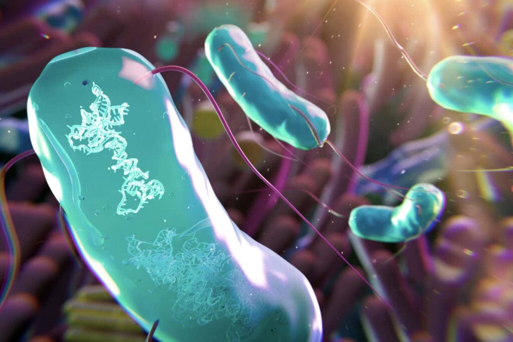 Genetically Enhanced Microorganisms Could Optimize the Microbiota Genetically Enhanced Microorganisms Could Optimize the Microbiota